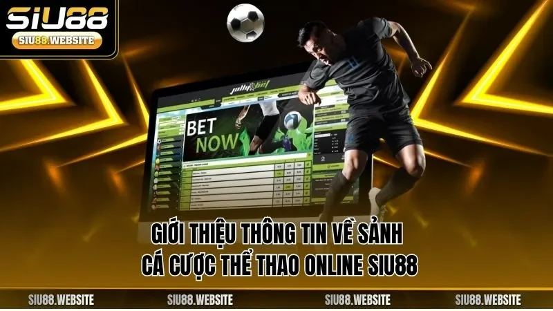 Giới thiệu thông tin về sảnh cá cược thể thao online SIU88